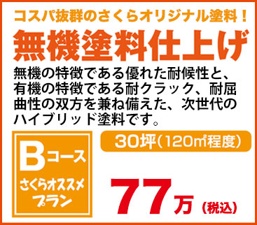 無機塗料　30坪